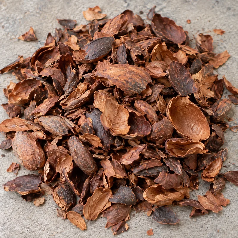 Cascarilla de cacao en fragmentos grandes